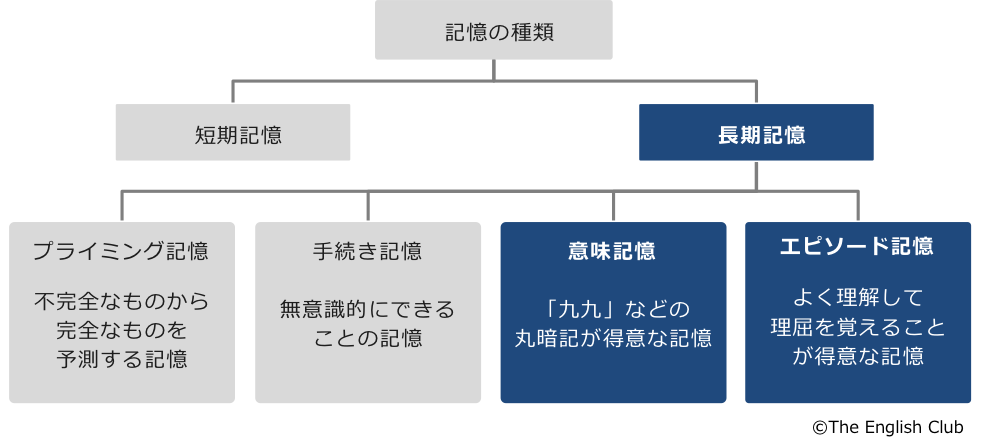 記憶の種類