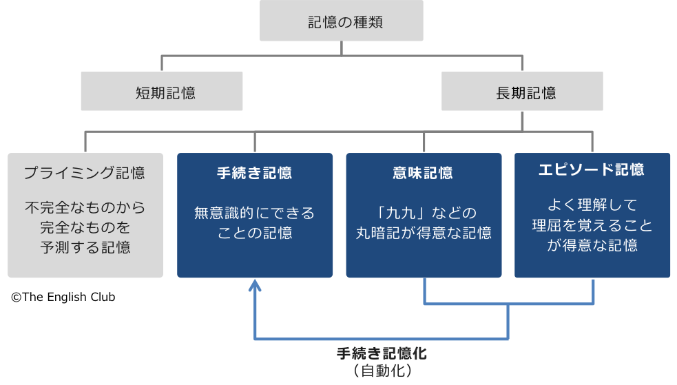 記憶の種類