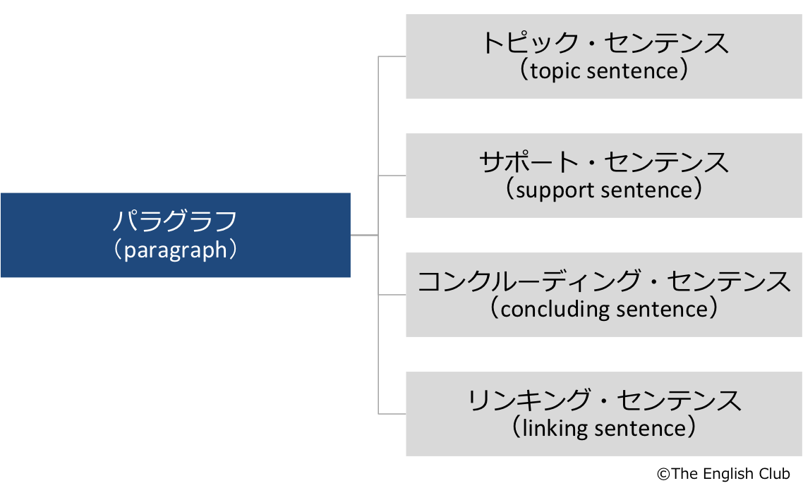 パラグラフの構造