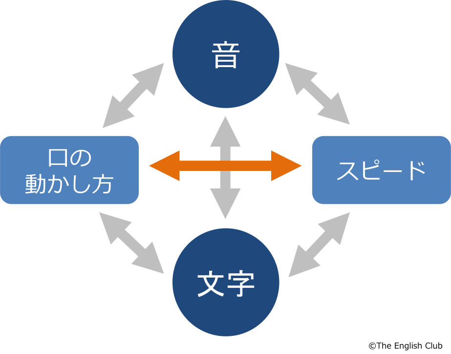 音と文字をつなげる-4