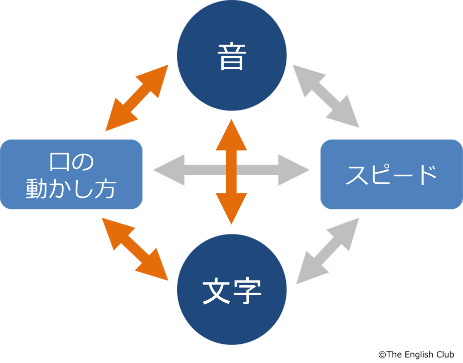 音と文字をつなげる-5