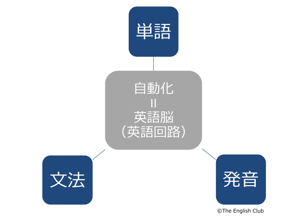 単語と文法と発音の自動化