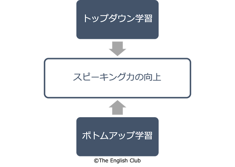 ボトムアップ学習とトップダウン学習