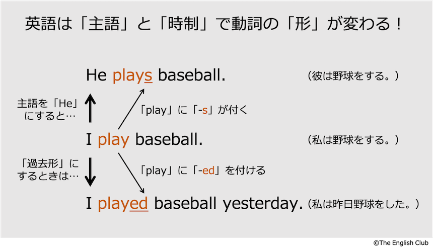 一般動詞の形の変化