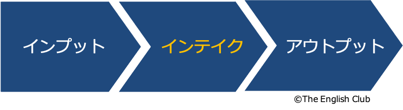 input_intake_output