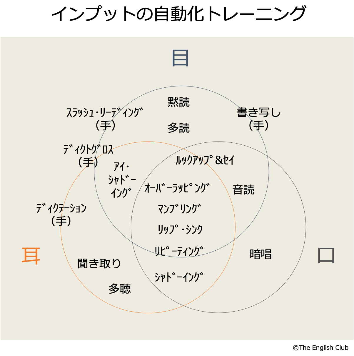 インプットの自動化トレーニング